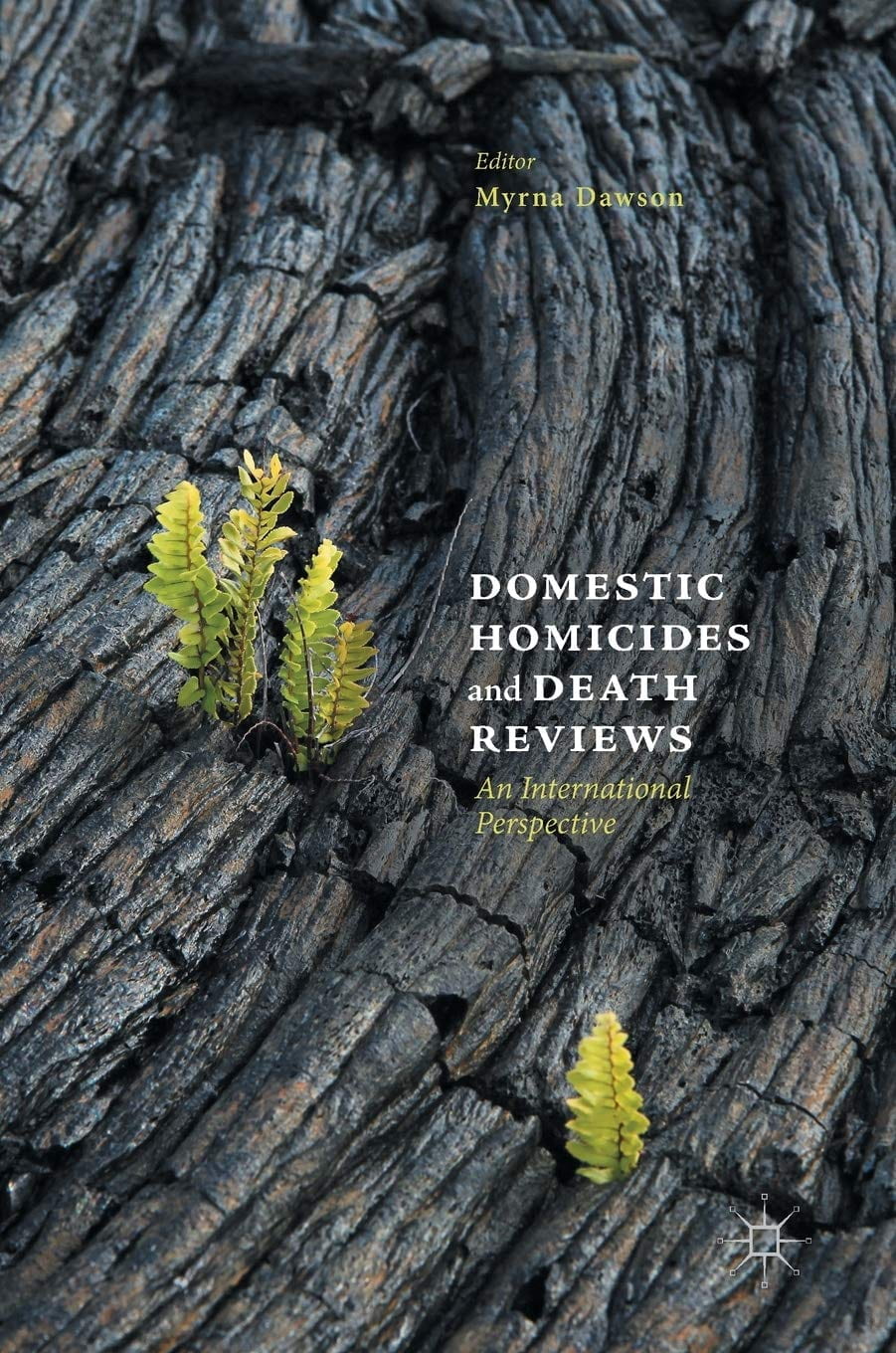 Domestic Homicides and Death Reviews Book Cover.